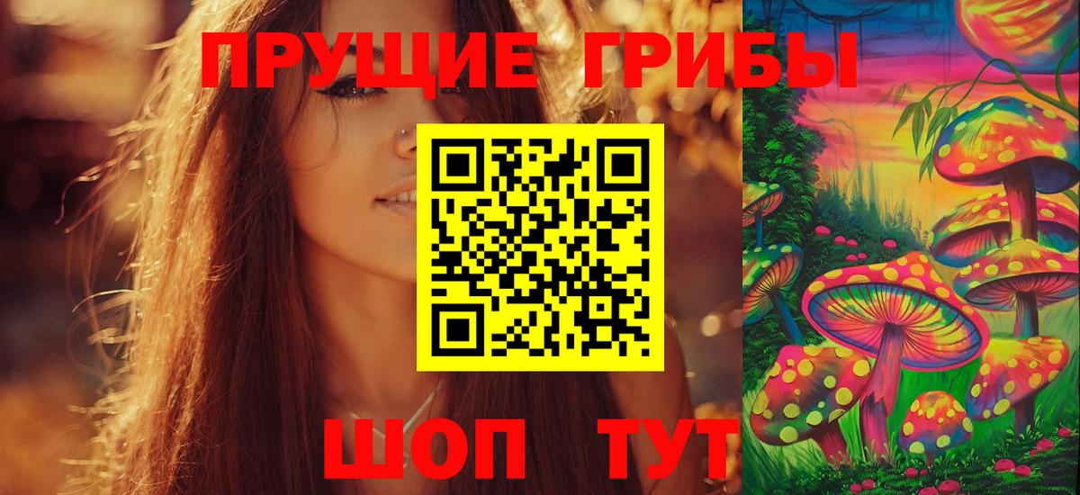 где можно купить наркотик  Галлюциногенные грибы GOLDEN TEACHER  Вход с VPN  Ессентуки 